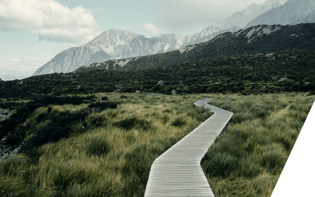 With Alinea in the United Kingdom, Pandion Partners S.L. expands further its position in Europe.