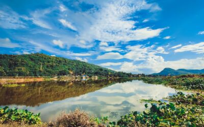 Maple Capital Advisors Supports Strategic Transaction in India